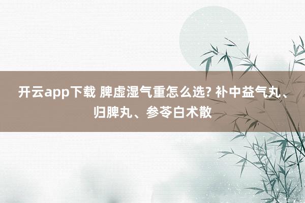 開云app下載 脾虛濕氣重怎么選? 補中益氣丸、歸脾丸、參苓白術(shù)散